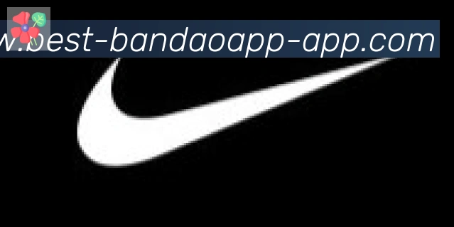 半岛体育app合作伙伴